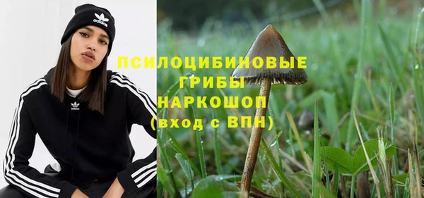 спайс Алексин
