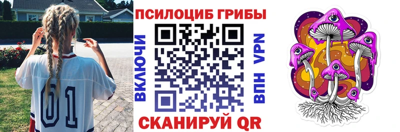 Галлюциногенные грибы Psilocybe  Купить где  Шуя 