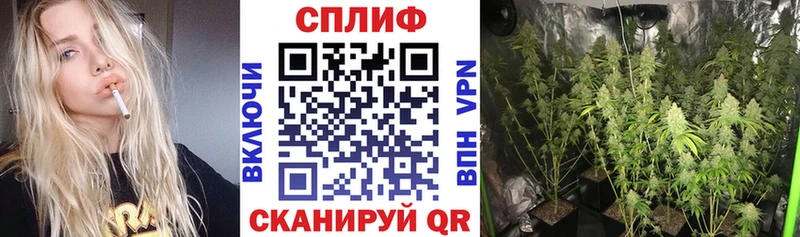 Бошки марихуана семена Купить где Шуя